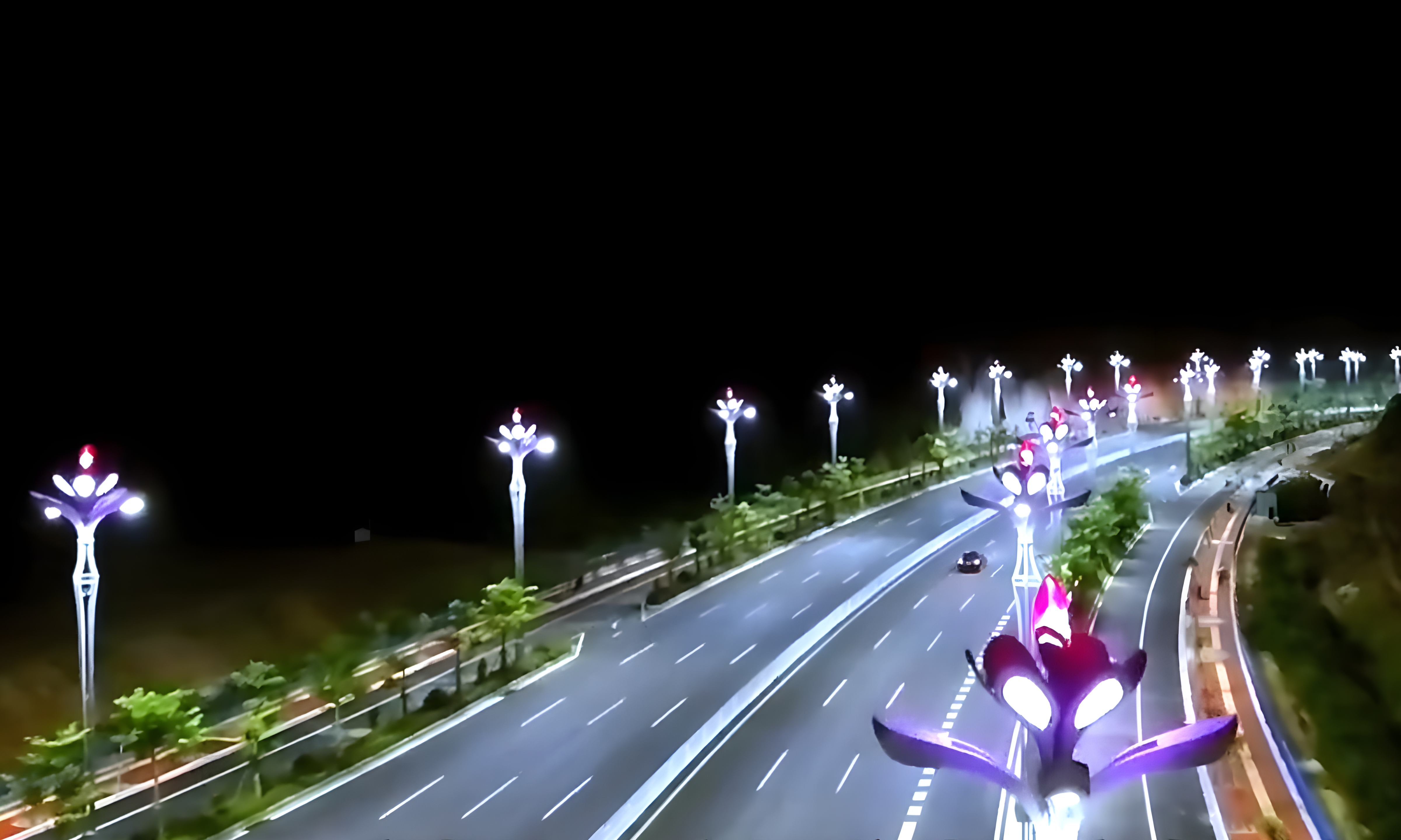 一城一特色，河池「山茶花」綻放新姿態(tài)